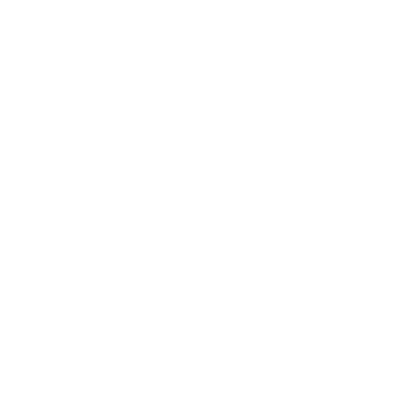 Birch Gluten Free Spirits Logo